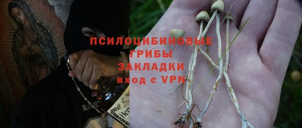гидропоника Богданович
