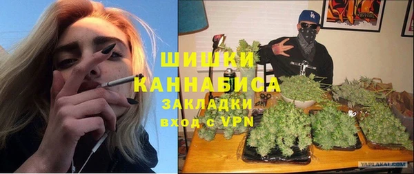 гидропоника Богданович