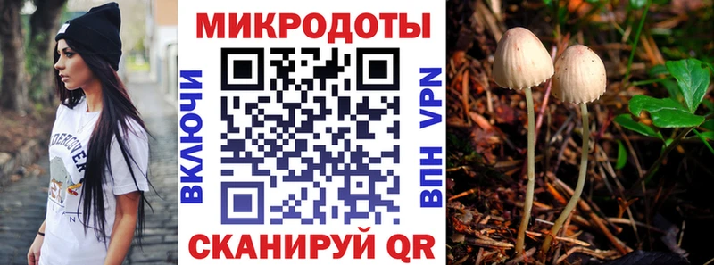 как найти наркотики  Будённовск  Псилоцибиновые грибы ЛСД 