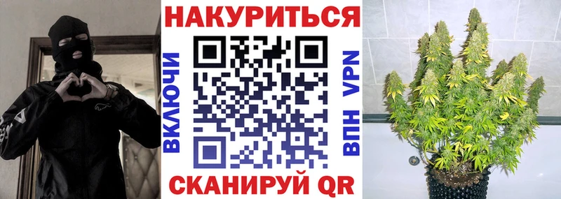 Бошки Шишки MAZAR купить гидра как войти Будённовск